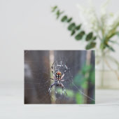 spin briefkaart (Staand voorkant)