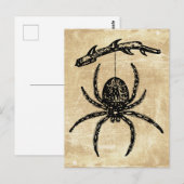 spin die van het Briefkaart van de Tak hangt (Voorkant / Achterkant)