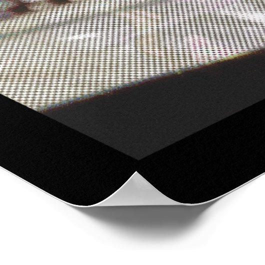 spin g poster (Hoek)