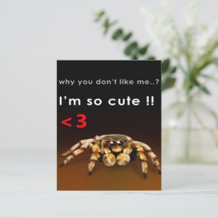 Spin, ik ben zo stom Spider Lover Gift