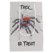 Spin in Web voor Halloween Fun en Creepy Medium Cadeauzakje (Achterkant)