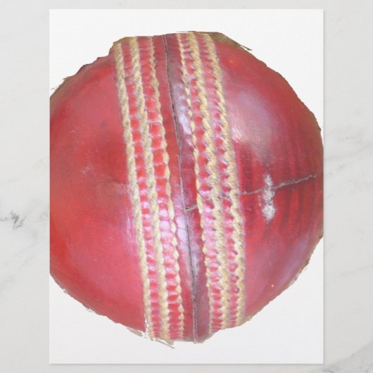 Spin Master's Sphere: een leuke linker Spin Cricke (Voorkant)