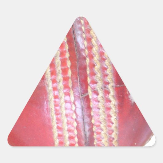 Spin Master's Sphere: een leuke linker Spin Cricke Driehoek Sticker (Voorkant)