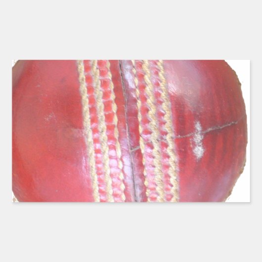 Spin Master's Sphere: een leuke linker Spin Cricke Rechthoekige Sticker (Voorkant)