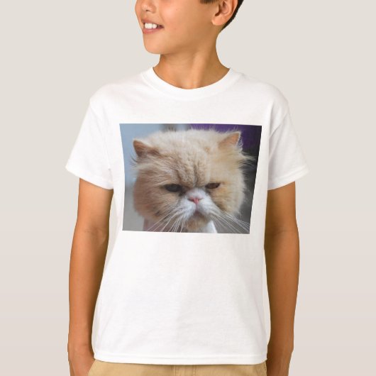Spin Perzisch Shirt (Voorkant)