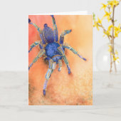 Spin - Tarantula Kaart (Gele Bloem)