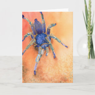 Spin - Tarantula Kaart