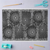 spin Webs Halloween B&W-weefselpapier Tissuepapier (Craft)