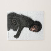 Spinaap met rode zijde - Ateles paniscus (3) Legpuzzel (Horizontaal)