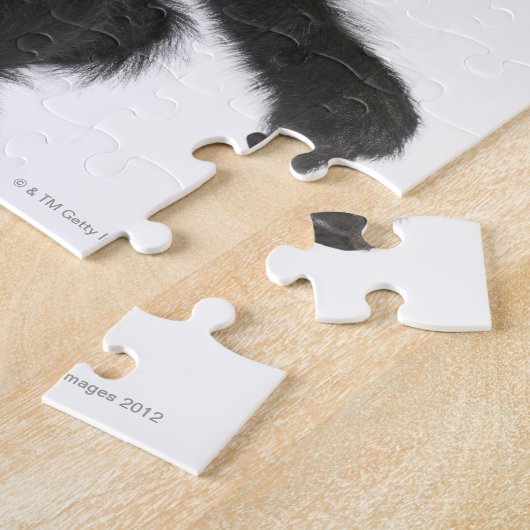 Spinaap met rode zijde - Ateles paniscus (3) Legpuzzel (Zijkant)