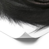 Spinaap met rode zijde - Ateles paniscus (3) Poster (Hoek)