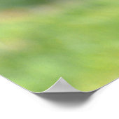 Spinaap met zwarte kop poster (Hoek)