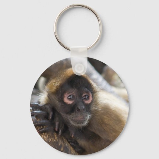 spinaap sleutelhanger (Voorkant)