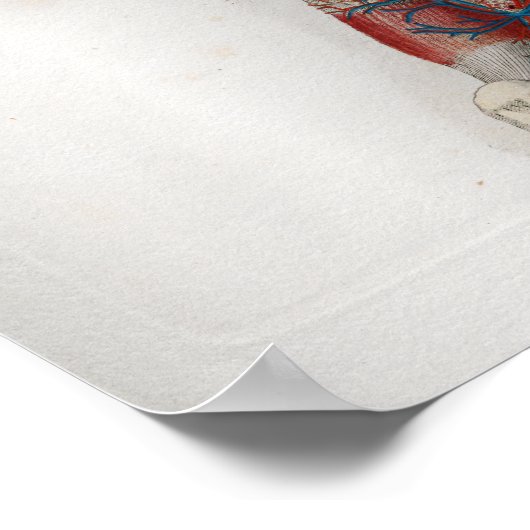 Spinale zenuwen Anatomie Poster (Hoek)