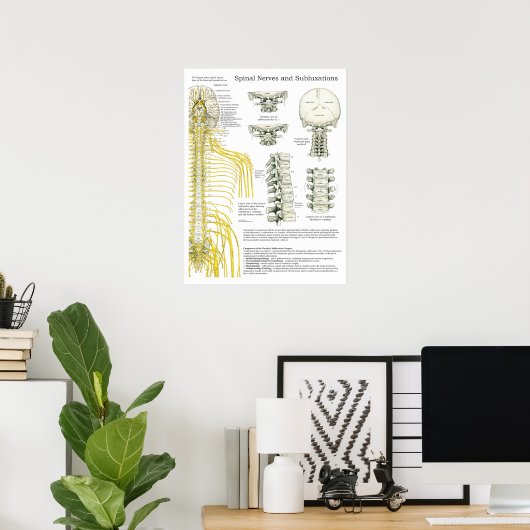 Spinale zenuwen en subluxe Chiropraktijk Poster (Thuiskantoor)