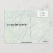 Spinazie Briefkaart (Achterkant)