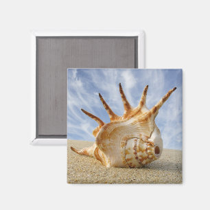 Spinconch op zandstrand magneet