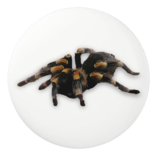 spindoptrek keramische knop (Voorkant)