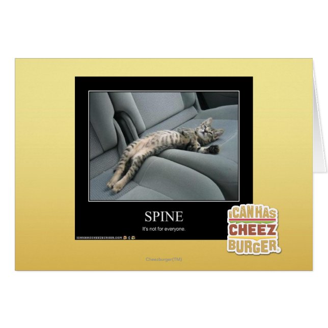 Spine (Devant horizontal)