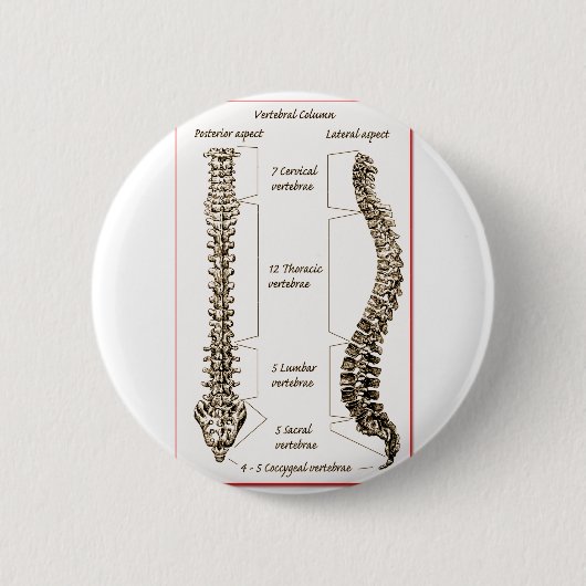 Spine Details Sepia2 Ronde Button 5,7 Cm (Voorkant)