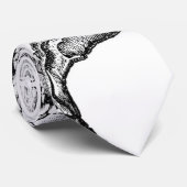 Spine -  natuurkundig diagram van Steele Stropdas (Opgerold)