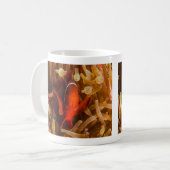 Spinecheek Anemonefish de la tasse de café de mer (Devant gauche)