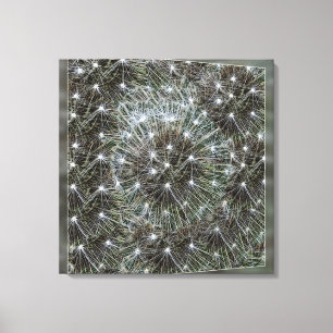 Spinende dandeliakoes canvas afdruk