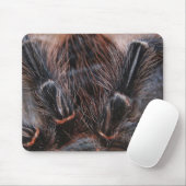 spinhaar muismat (Met muis)