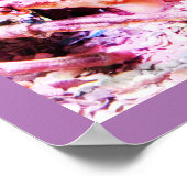 Spinkrab Poster (Hoek)