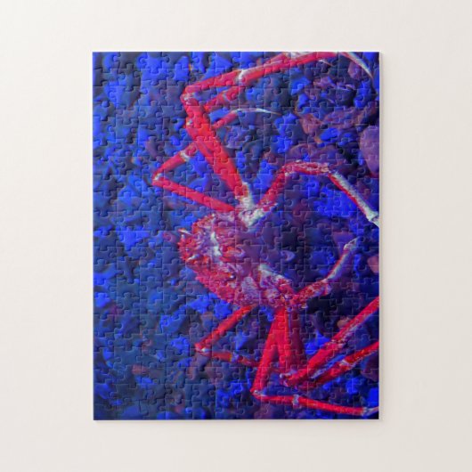 Spinkrabben. Legpuzzel (Verticaal)