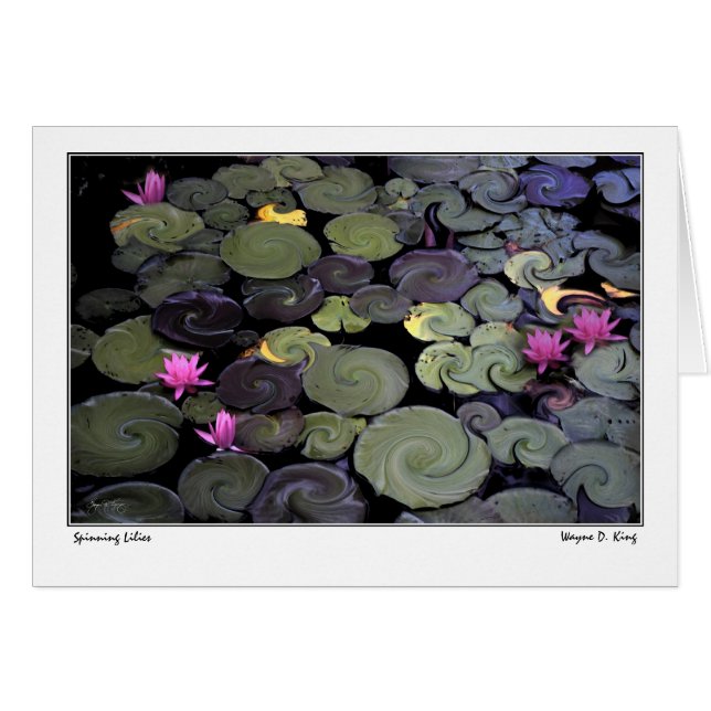 Spinnen (Voorkant Horizontaal)