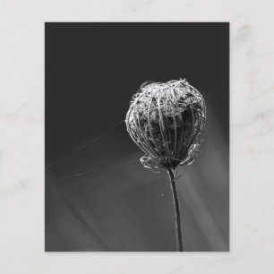 Spinnen Met Bloemen Matching Spin Minnaars Flyer