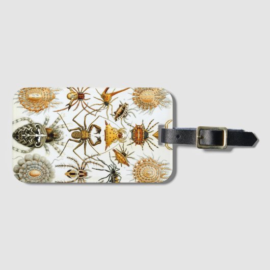  spinnen of spinachtigen door Ernst Haeckel Bagagelabel (Voorkant (horizontaal))