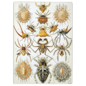 spinnen of spinachtigen door Ernst Haeckel Klembord (Achterkant)