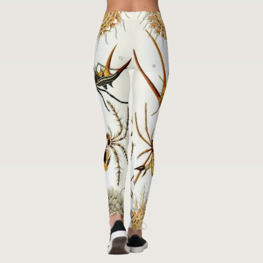 spinnen of spinachtigen door Ernst Haeckel Leggings (Achterkant)