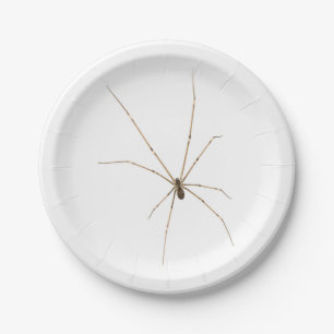 Spinnen Papieren Bordje