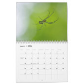 Spinnen zijn geweldig! Agenda Kalender (Mar 2026)