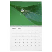 Spinnen zijn geweldig! Agenda Kalender (Jan 2026)