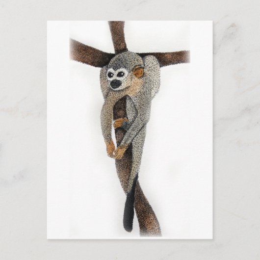 spinnenapen pentekening kunst briefkaart (Voorkant)