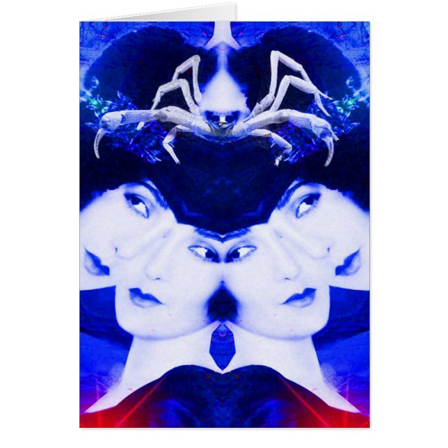 Spinnenweb (Voorkant)