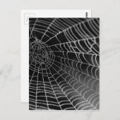 Spinnenweb met waterkralen briefkaart (Voorkant / Achterkant)