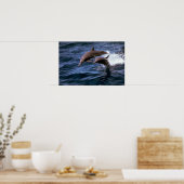 Spinner dolphin poster (Keuken)