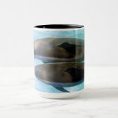Spinner Dolphins | Oahu Hawaii Mok (Midden)