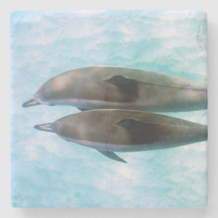 Spinner Dolphins Oahu Hawaii Stenen Onderzetter