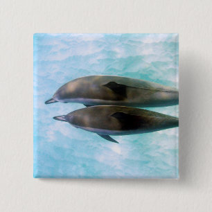 Spinner Dolphins Oahu Hawaii Vierkante Button 5,1 Cm
