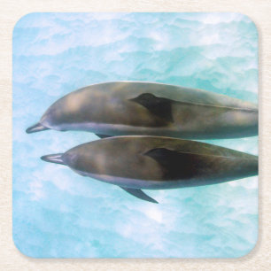 Spinner Dolphins Oahu Hawaii Vierkante Kartonnen Onderzetter