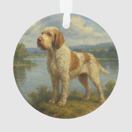 Spinone Italiano (dos)