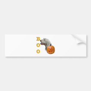 Spinone Italiano Boo Bumpersticker