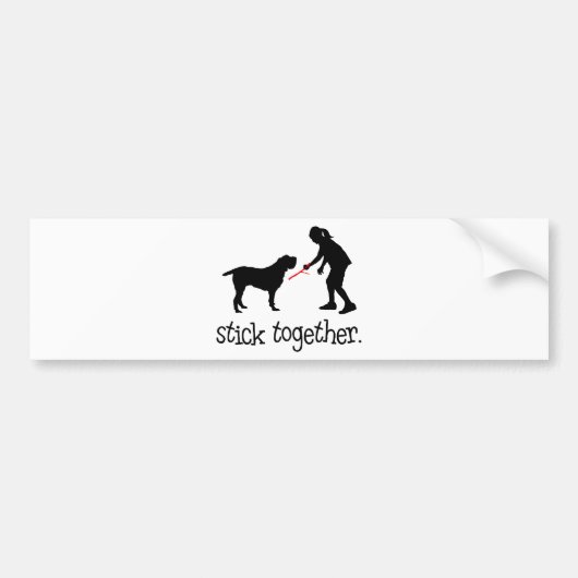 Spinone Italiano Bumpersticker (Voorkant)