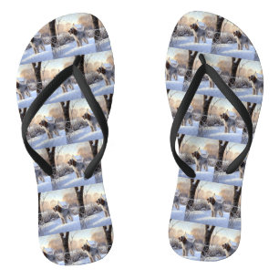 Spinone Italiano Laat het Sneeuwen Kerstmis Teenslippers